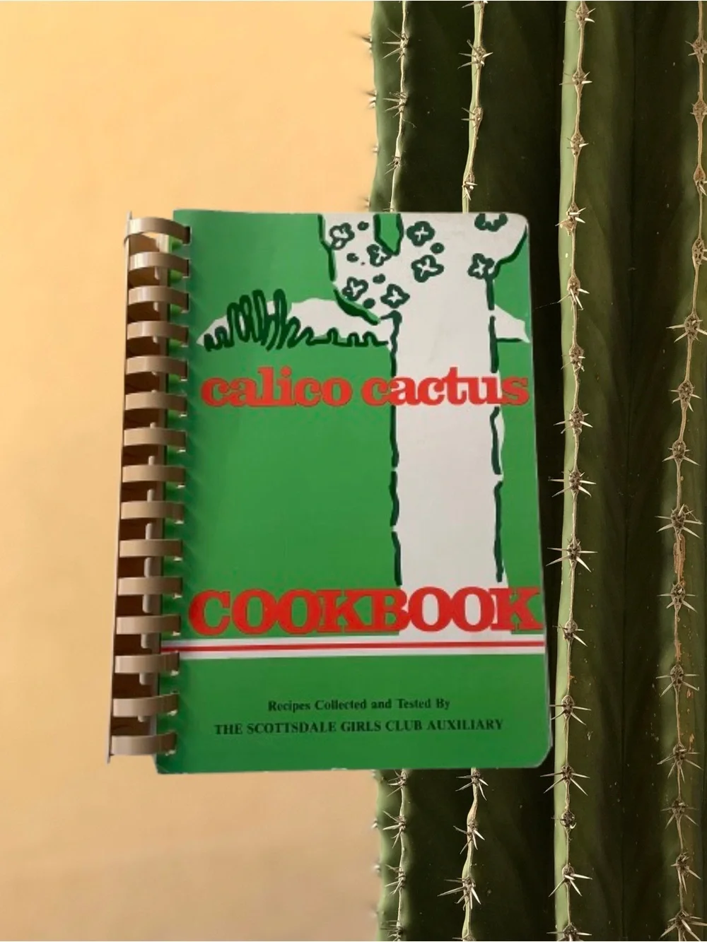 Vintage 1987 Calico Cactus cookbook Scottsdale Girls Club Arizona recipes